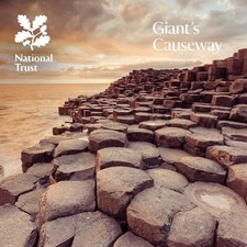 Giant's Causeway: National Trust Guidebook - paperback Groves, Anna picture