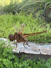 Hand-crafted Metal Dragonfly Sculpture-Rustic Patina- One Of A Kind Art Piece picture
