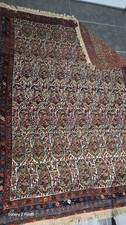 Rare Fine Antique Genuine Senneh Handmade Rug Paisley Boteh Design  picture
