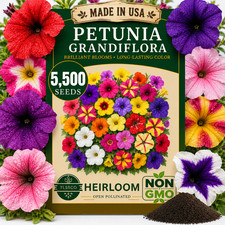 TLSSCO 5500+ Petunia Seeds - Mixed Rainbow Color, Bonsai, Petunia Grandiflora picture
