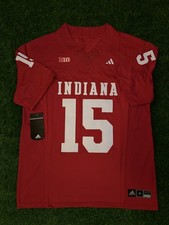 Indiana Hoosiers Fernando Mendoza Jersey - Men's Medium picture