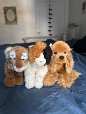 Webkinz signature lot - used picture