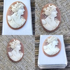 Cameo shell  picture