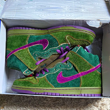 Nike Dunk High Premium SB Skateboarding Shoes Green US 10.5 Medium (D, M) picture
