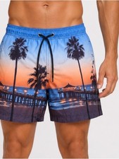 Aeropostale Men’s Blue and Orange Palm Pier Swim Shorts unlined SZ SM picture