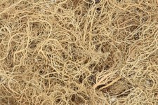 WHOLESALE Usnea Lichen Whole, Wild Crafted - Usnea Barbata picture