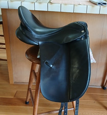 Albion Platinum Genesis 18