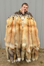 Tanned Red Fox, Winter “Heavy Fur” Western - Medium Grade picture