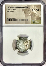 330-280 BC Lucania Metapontum Ancient Greek Silver Stater Coin NGC Choice VF picture