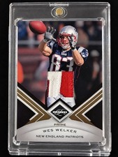 2010 Panini Limited - Wes Welker #60 Threads Prime /50 (MEM) picture