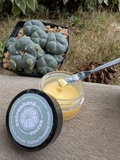 6-BAP/GA3 Cactus Pupping Cream - 10 Grams picture