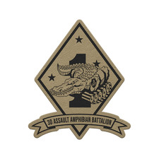 3rd Assault Amphibian Bn 