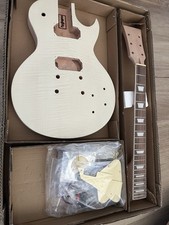 Open Box Leo Jaymz Les Paul Electric Guitar DIY Project Kit picture