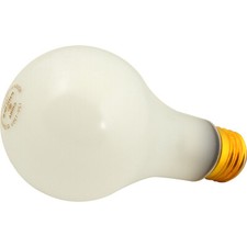 BULB,SHATTER RESISTANT (100W) picture