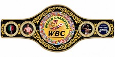 WBC Belt Boxing Championship Replica Belt Adult Size Hight Quality Leather 4MM picture