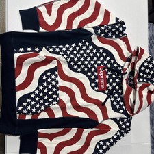 Supreme FW14 Box Logo USA Flag Hoodie M picture