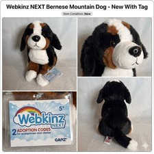 Ganz 2025 Webkinz Next Bernese Mountain Dog NEW WK00025 2 Codes Gen3 