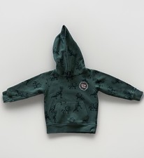 H&M Toddler Dinosaur Print Hoodie Size 2T Green Pullover Sweatshirt picture