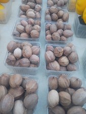 12 Lbs Shagbark  Hickory Nuts   2026  Southern Illinois  picture