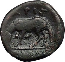 LARISSA in THESSALY 360BC Nymph Horse Authentic Ancient Greek Coin i49240 picture