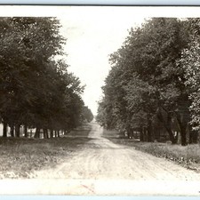 c1910s Walker, IA Greene St Residential Section RPPC Postcard Dirt Road Trees picture