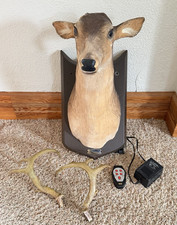 Vtg 2004 Gemmy Buck Animated Mounted Singing Talking Deer w/ Remote READ DESC. picture