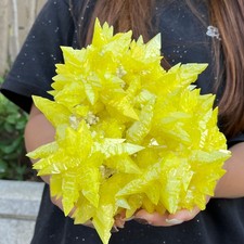 4.27LB  Minerals ** LARGE NATIVE SULPHUR OnMATRIX Sicily picture