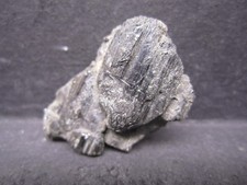 Andorite Crystal, San Jose Mine, Bolivia #11 picture