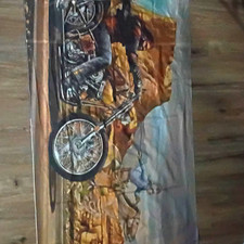 David mann ghost rider tapestry  picture