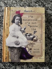 I'm Dangerous... I'm Not Gonna Lie Hardcover Erin Smith picture