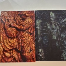 The Irish Origins Of Civilization Vol 1 & 2 by Michael Tsarion,Reprint, picture