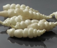 5 Live Sprouted Root Bulbs Chinese Artichoke/Stachys Affinis, Crosne 5棵已发芽宝塔菜种球 picture