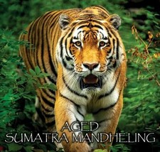Organic Sumatra Arabica Whole Bean Coffee Fresh Roast Medium 5 lb picture