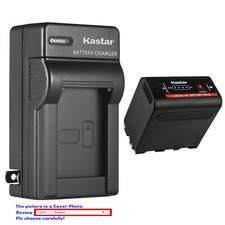 Kastar F980 Battery Wall Charger for Sony L Series NP-F970/B NP-F975 AX2000 FX7 picture