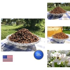 100% Organic Bee Bread Perga Ambrosia Naturally Fermented Pollen 1.76 oz 50g picture