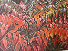 Robert Bateman Signed Cardinal and Sumac Premier Edition 333/350 Unframed Print picture
