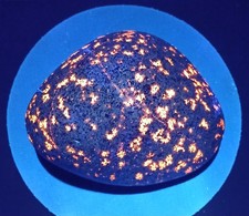 Fluorescent Sodalite ( Yooperlite ) - Almost 1.3 LBS.  A Beautiful Bright Stone  picture