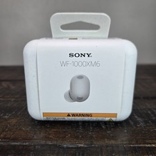 NEW Sony WF-1000XM6 Best Truly Wireless Noise Cancelling Earbuds Platinum Silver picture