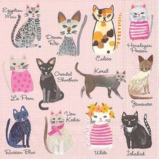 Boston International IHR Cocktail Beverage Paper Napkins 5 x 5 Cool Cats picture