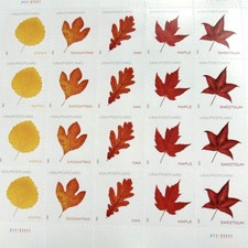 2025 Vibrant Leaves Postcard Stamps SC#5966-5970- MNH- 100 PCS TOTAL picture