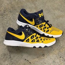 Nike Train Speed 4 AMP Michigan Reflective Training Shoes 844102-417 Mens 10.5 picture