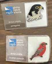RSPB SCOTTISH CROSSBILL & Peregrine Pin Badge British Wildlife picture