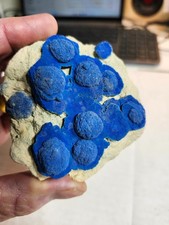 Azurite Florets, Lost Lake Claim, Nacimiento Mine, Cuba, New Mexico. picture