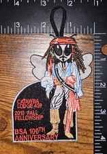 Catawba Lodge 459 2010 Fall Fellowship BSA 100th Anniversary Insect Patch picture