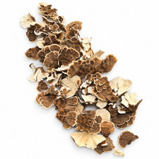 Wildcrafted Turkey Tail Mushroom Trametes versicolor Whole Dried Botanical 2026 picture