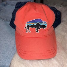 Orange and blue patagonia bison picture