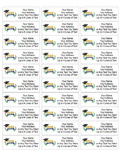 60 Personalized Class of 2026 Graduation Address Labels Custom School Senior picture