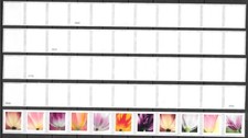 Scott #5776a 2023 (63c) Tulip 3K Coil Back # Set 10 PNC11, Plate B1111 MNH F-VF picture