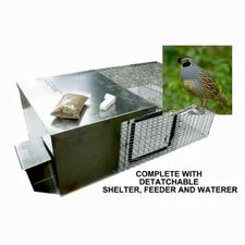 new best quail recall pen made and enclosed 40% of it with galvinized aluminium picture
