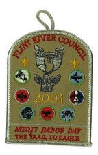 Northeast Georgia Council GA 2001 Merit Badge Day Patch GRY Bdr (SA1117) picture